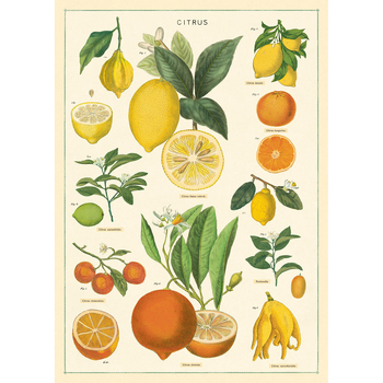 /assets/alt_1/C-WRAP-CITRUS_6PK.jpg?20240913163009