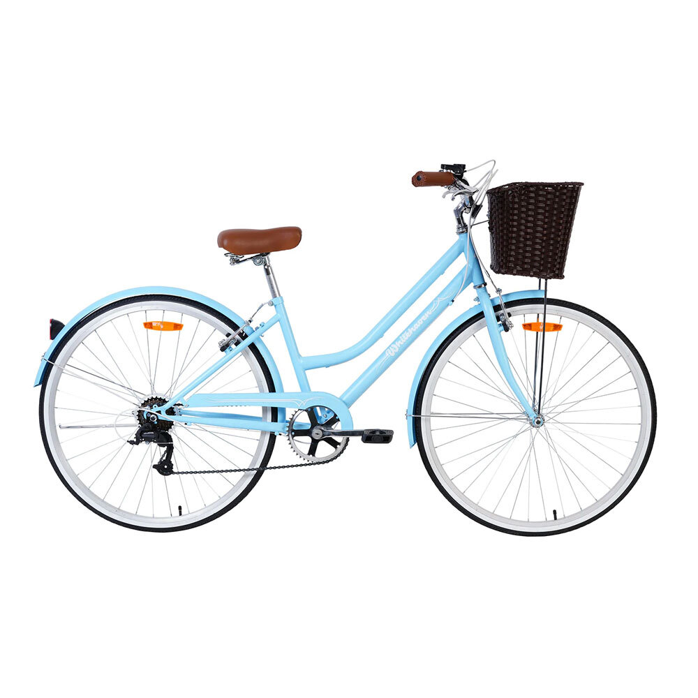 blue adult bike