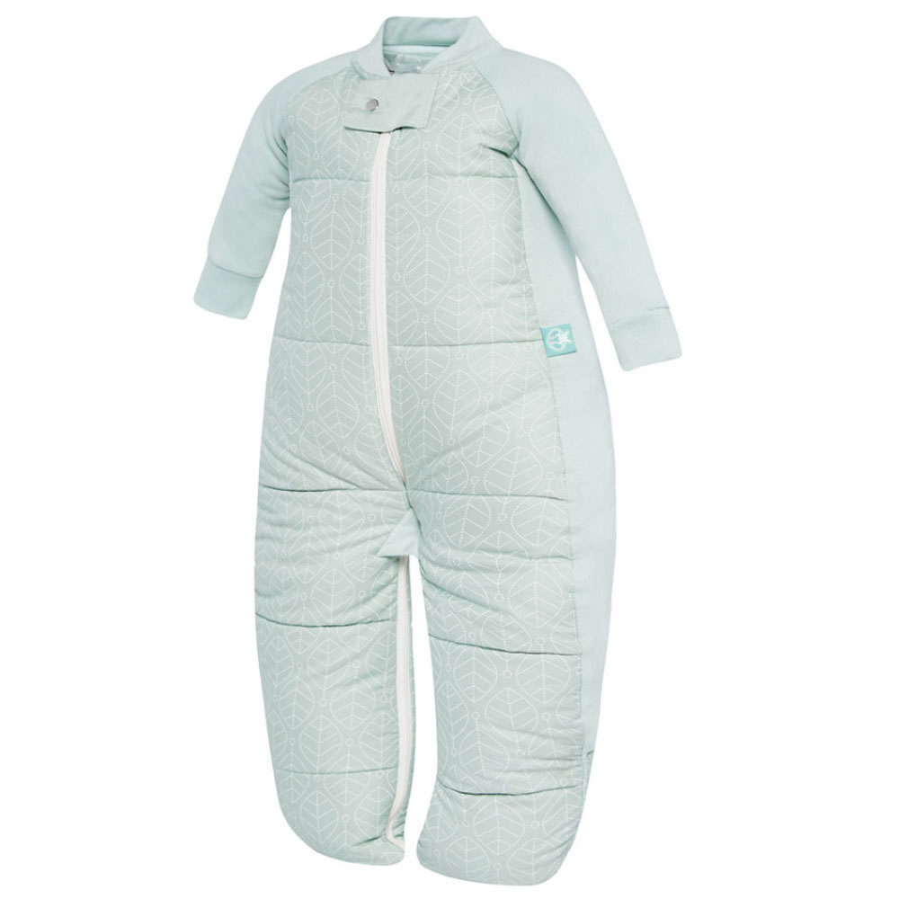 ergopouch sleep suit bag