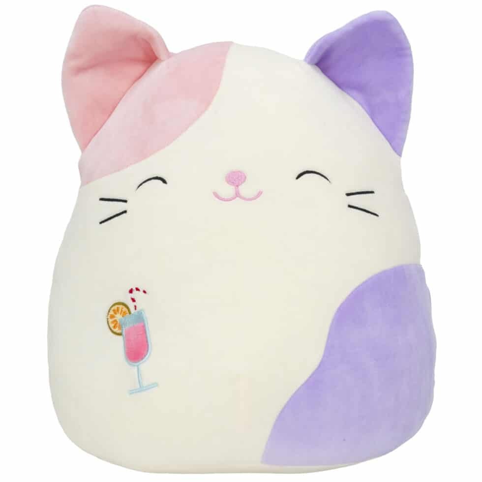 charlotte the cat squishmallow