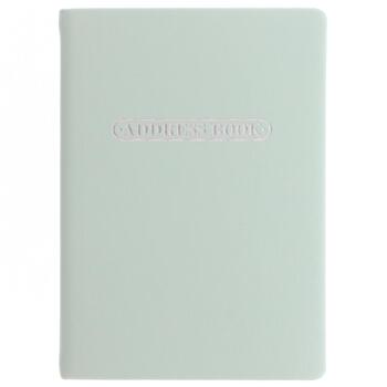 Letts Pastel A5 Address Book Duck Egg Home Office Stationery