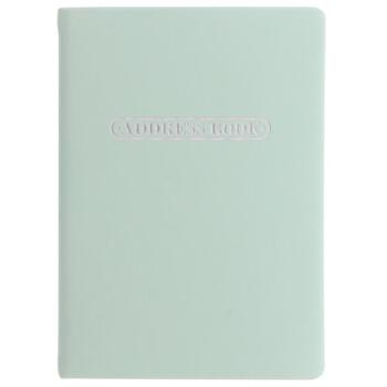 Letts Pastel A6 Address Book Duck Egg Home Office Stationery