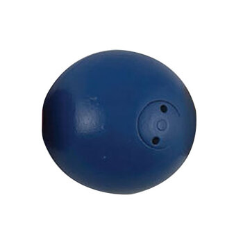 Regent 2kg Shot Puts Track & Field Training Equipment