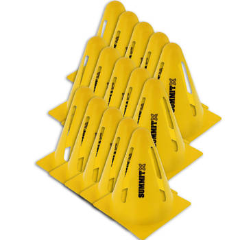 15x Summit Flexi Cones