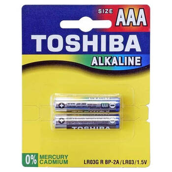 2 PACK AAA  ALKALINE BATTERY