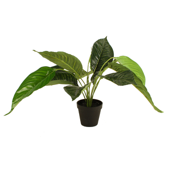 Maine & Crawford 55cm Potted Peace Lily Artificial Plant