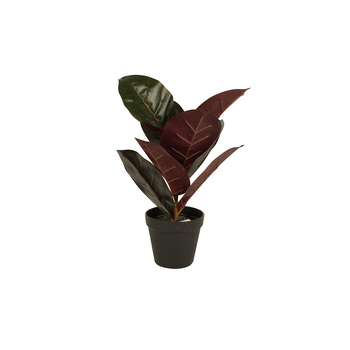 Maine & Crawford 36cm Potted Burgundy Artificial Rubber Plant