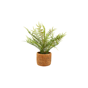 Maine & Crawford 30cm Fern In Ceramic Weave Pot Artificial Plant