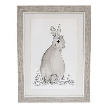 LVD Framed Glass/Resin 30x40cm Print Bunnykins Wall Hanging Art