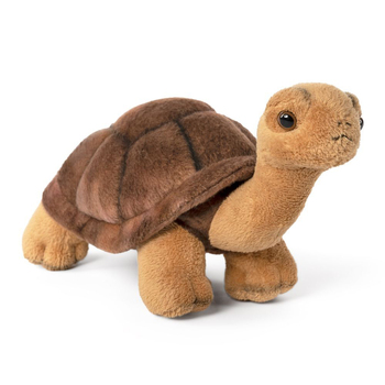 Living Nature 20cm Tortoise Stuffed Animal Plush Kids Toy Brown