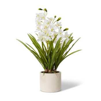 E Style Artificial 86cm Plastic Cymbidium Slim Pot - White/Cream