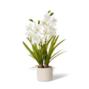 E Style Artificial 69cm Plastic Cymbidium Slim Pot - White/Cream