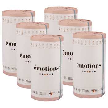 6PK Emotions 100% Bamboo Kitchen 120 Sheet Paper Towels