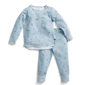 Ergopouch Baby Pyjamas 2 Piece Set Long Sleeve Tog 0.2 Size 3y Dragonflies