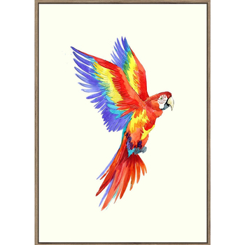 Rayell Framed Kids Artwork Jungle Bird Natural Cream 50x70cm