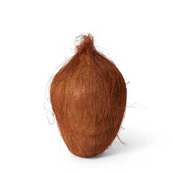 E Style 20cm Plastic Coconut Fruit Ornament - Brown