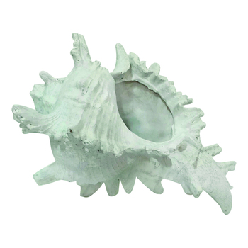 Maine & Crawford Hao 18cm Resin Conch Shell Display - White