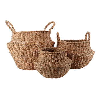 3pc Maine & Crawford Eddi 25/35/45cm Typha Belly Basket - Natural