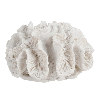 Maine & Crawford 7 Seas Resin 14cm Coral Ornament - White