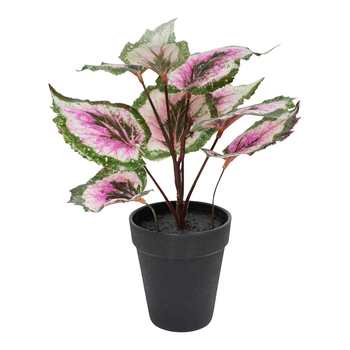 LVD Potted 27cm Begonia Purple Faux/Fake Artificial Plant