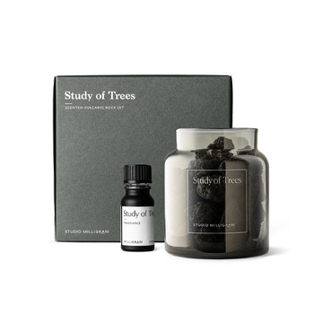 Studio Milligram Sensory Scented Volcanic Rock Set Study of Trees