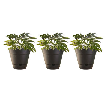 3PK Northcote Pottery Leonard 20x18cm Self Watering Black