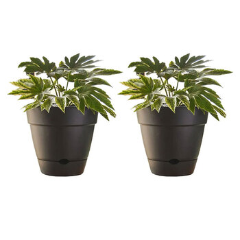 2PK Northcote Pottery Leonard 25x23cm Self Watering Black