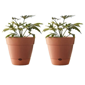 2PK Northcote Pottery Leonard 25x23cm Self Watering Brick