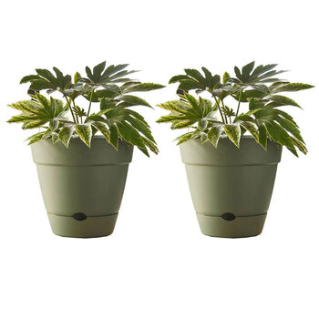 2PK Northcote Pottery Leonard 25x23cm Self Watering Green