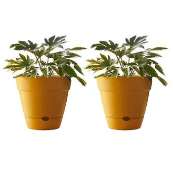 2PK Northcote Pottery Leonard 25x23cm Self Watering yellow