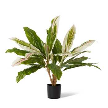 E Style 71cm Cordyline Potted Artificial Plant Decor - Green/Pink