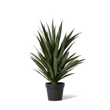 E Style 74cm Yucca Potted Artificial Plant Decor - Green