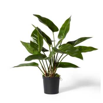 E Style 70cm Anthurium Deluxe Potted Artificial Plant Decor - Green