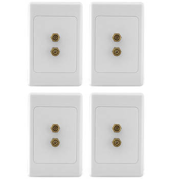 1 way 2 Terminal Speaker Wall Plate