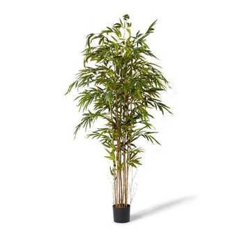 E Style 210cm Plastic Artificial Bamboo Tree - Green