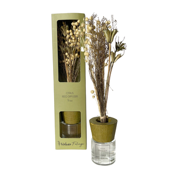 Urban Dried Flowers Floral 50ml Scented Citrus Reed Diffuser - Green