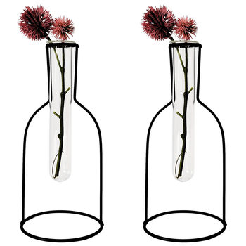 2PK Urban Products Kinkora Bottle Frame Glass Test Tube Vase