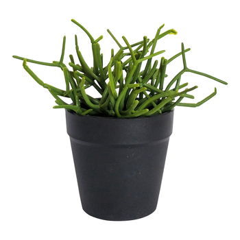 Urban Pencil Plastic 15cm Potted Artificial Cactus Plant - Green