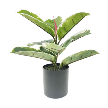 Urban Variegated Ficus Fig 38cm Artificial Potted Plant - Green