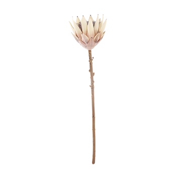 Urban Dried Look Artificial Flower 51cm King Protea Open Stem - Natural