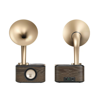 Sangean WR-45 FM/Bluetooth/Aux-In 25cm Radio - Gold/Wood