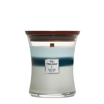 WoodWick Icy Woodland Trilogy Scented Crafted Candle Glass Jar Medium