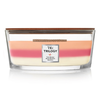 WoodWick 453g Scented Candle Sheer Tuberose Ellipse - Pink