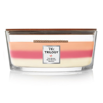 WoodWick 453g Scented Candle Blooming Orchard Trilogy Ellipse