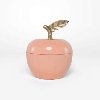 Rayell Decor Adam Home Decor Jewellery Box Peach 8x10x8cm