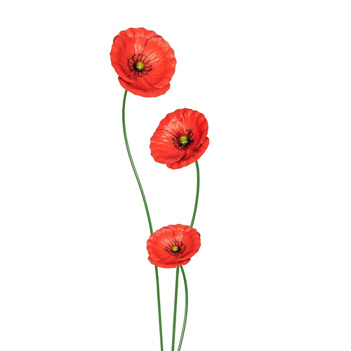 3pc Garden Metal 49/75/90cm Stake Poppy Flower Outdoor Decor - Red