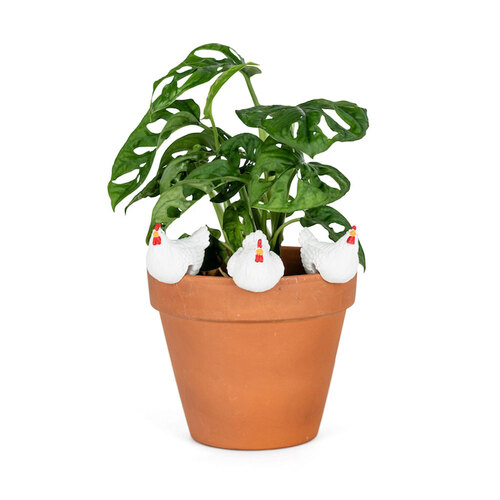 8x Chicken Pot Sitter 4.5cm Planter Decor - White Assorted