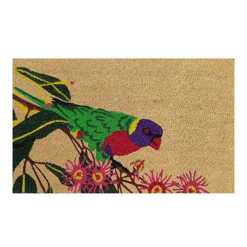 Solemate Latex Lorikeet 45x75cm Outdoor Doormat