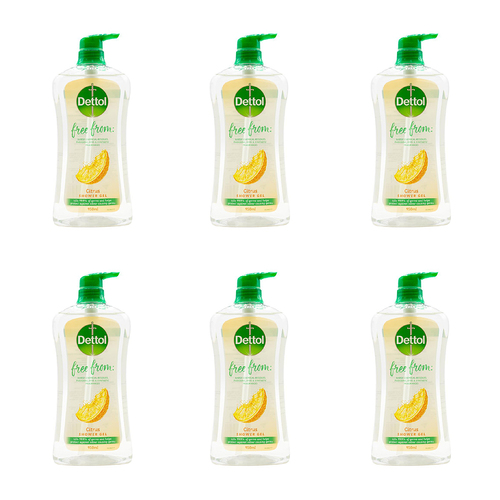 6PK Dettol Free From 950ml Shower Gel Liquid Bath Soap Citrus Scent