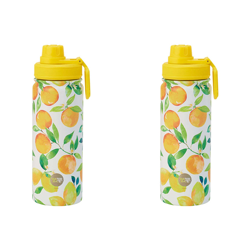 2PK Annabel Trends Watermate 550ml Stainless Steel Bottle Amalfi Citrus